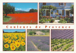 *CPM - FRANCE - PACA - Couleur De PROVENCE - Multivues - Provence-Alpes-Côte D'Azur