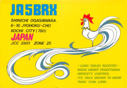 Radio Amateur QSL Post Card Y03CD JA5BRX Japan - Radio Amateur