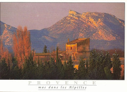 *CPM - FRANCE - PACA - Mas Dans Les Alpilles - Provence-Alpes-Côte D'Azur