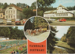 88929 - Tambach-Dietharz - U.a. Apfelstädter Grund - 1988 - Tambach-Dietharz