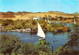 *CPM - EGYPTE - ASSOUAN - Vue Sur Le Nil à Assouan - Assouan