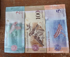 Lot De 3 Billets VENEZUELA - Venezuela