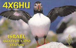 AK 212290 QSL - Israel - Bat-Yam - Radio Amateur