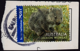 AUSTRALIA  2006 Animals Int'l Post $1.25 Common Wombat Sc#2497 USED On Paper @O068 - Gebraucht