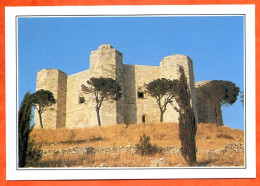 ITALIE ITALIA  La Pouille Castel Del Monte - Géographie