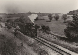 80181 - Zirkow-Serams - Schmalspurbahn Nach Seelvitz - 1977 - Stralsund