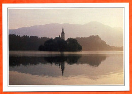 YOUGOSLAVIE YUGOSLAVIA Bled Eglise De Sainte Marie Du Lac - Géographie