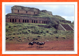 MEXIQUE  Yucatan Sayil  Le Palais - Géographie