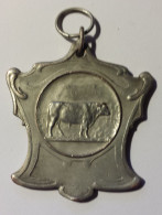 BELGIQUE Médaille Argent Concours Agricole Herd Club Dourois (Dour Hainaut) 1925 - Professionali / Di Società