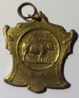 BELGIQUE Médaille Dorée Concours Agricole Herd Club Dourois (Dour Hainaut) 1925 - Profesionales / De Sociedad