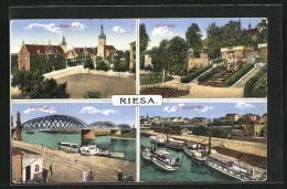 AK Riesa A.d. Elbe, Rathaus, Im Stadtpark, Schiffe Am Landungsplatz, Die Elbbrücke  - Riesa