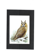 Buzin 3737 Hibou Moyen-duc - 1985-.. Vogels (Buzin)