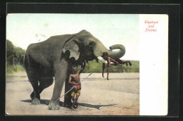 AK Elephant And Trainer  - Éléphants
