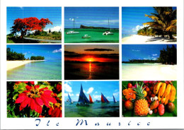 12-4-2024 (1 Z 41) Mauritius / Ile Maurice (posted To France) 9 Views (with Postal Service Staff Stamp) - Mauricio