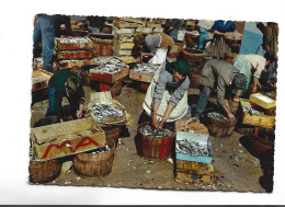 CPM  FIGUEIRA DA FOZ, CENA TIPICA NO MERCADO DO PEIXE - Otros & Sin Clasificación