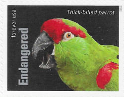 USA 2023 MiNr. 6055ba Endangered Species Birds The Thick-billed Parrot (Rhynchopsitta Pachyrhyncha) 1v MNH **  1.40 € - Perroquets & Tropicaux