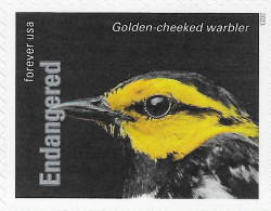 USA 2023 MiNr. 6063ba Endangered Species Birds The Golden-cheeked Warbler (Setophaga Chrysoparia) 1v MNH **  1.40 € - Hühnervögel & Fasanen