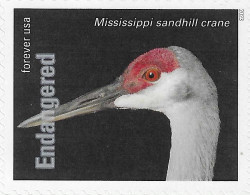 USA 2023 MiNr. 6071ba Endangered Species Birds Mississippi Sandhill Crane (Grus Canadensis Pulla) 1v MNH ** 1.40 € - Kranichvögel