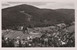 85450 - Bad Herrenalb - Blick Ins Gaistal - Ca. 1960 - Bad Herrenalb