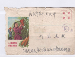 China 1963 HeNan(河南太康) To Wuhan Cover - Lettres & Documents