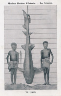 C5- MISSIONS MARISTES D ' OCEANIE - ILES SALOMON - UN REQUIN - ENFANTS  PRESENTATION D ' UN REQUIN - ( 2 SCANS ) - Islas Salomon