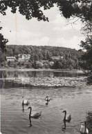 3013 - Buckow - Am Griepensee - 1982 - Buckow