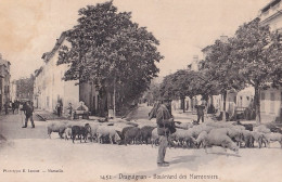 D2-83)  DRAGUIGNAN  BOULEVARD DES MARRONIERS - ANIMEE - BERGER AVEC TROUPEAU DE MOUTONS - EN 1905 - ( 2 SCANS ) - Draguignan