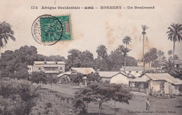 D8- AFRIQUE OCCIDENTALE - GUINEE - KONAKRY - UN  BOULEVARD - EN 1908  - Guinée Française