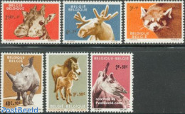 Belgium 1961 Animals 6v, Unused (hinged), Nature - Animals (others & Mixed) - Giraffe - Rhinoceros - Wild Mammals - Nuevos
