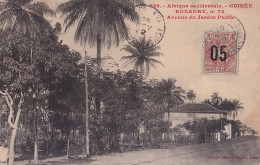 D16- AFRIQUE  OCCIDENTALE - GUINEE - KONAKRY - N° 72 - AVENUE DU JARDIN PUBLIC - EN 1912 - Guinea Francese