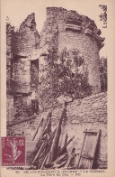 D22-41) SELLES SUR CHER - LOIR ET CHER - LE CHATEAU - LA TOUR DU COQ - Selles Sur Cher