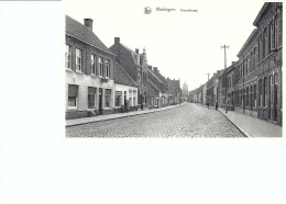 Maldegem : Noordstraat - Maldegem