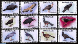Suriname, Republic 2017 Birds 12v, Mint NH, Nature - Birds - Birds Of Prey - Suriname
