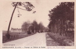 E6-47) CASTELJALOUX - PAYSAGE  AU  CHATEAU  DE SENDAT - ( 2 SCANS ) - Casteljaloux