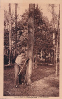 E6-47) DANS LA FORET DE CASTELJALOUX - UN RESINIER - TRAVAIL  DU  BOIS - EDIT. R. DUBERGER -  ( 2 SCANS ) - Casteljaloux