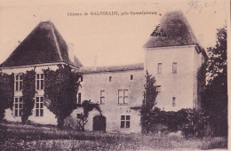 E14-47) CHATEAU DE MALVIRADE - PRES DE CASTELJALOUX - ( 2 SCANS ) - Casteljaloux