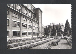 DENDERMONDE - TERMONDE - ST. VINCENTIUSINSTITUUT - EEN TUINZICHT - NELS  (9573) - Dendermonde