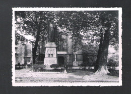 DENDERMONDE - TERMONDE - STANDBEELD VAN PATER DE SMET   - NELS  (9579) - Dendermonde