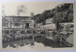 BELGIQUE - NAMUR - YVOIR - SPONTIN - Etablissement Des "Eaux Minérales" Et Les Etangs - Yvoir