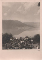 16775 - Schweiz - Aegerisee Im Kanton Zug - 1959 - Autres & Non Classés