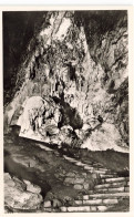 BELGIQUE - Les Grottes De Han Sur Lesse - Vue De La Salle Du Trophée - Vue à L'intérieur - Carte Postale Ancienne - Rochefort