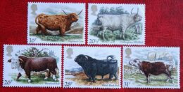 Bovins Vaches Taureaux Cow Kuh (Mi 979-983) 1984 POSTFRIS MNH ** ENGLAND GRANDE-BRETAGNE GB GREAT BRITAIN - Neufs