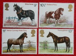 British Horses Pferd Cheval (Mi 769-772) 1978 POSTFRIS MNH ** ENGLAND GRANDE-BRETAGNE GB GREAT BRITAIN - Nuevos