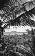 Vue Sur La Rade - Fort-de-France - Martinique - Fort De France