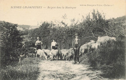 Agriculture Scenes Champetres Bergers Dans La Montagne - Crías