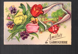 AMITIES  DE LABRUGUIERE - Labruguière