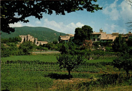 N°854 Z -cpsm Lourmarin -vue Générale Et Son Château- - Lourmarin