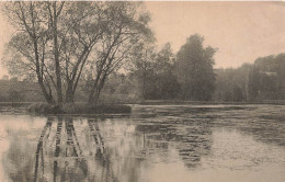 BELGIQUE - Forêt De Soignes - Rouge Cloître - Vue Sur L'Etang - Vue Générale - Carte Postale Ancienne - Andere & Zonder Classificatie