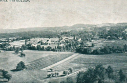 Buče Pri Kozjem, Predvojna, Kozje, Zal. F. Golič, Foto. Bavec, Štajerska, Fautsch, Podsreda, Lesično, Savinjska - Slovénie