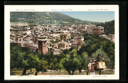 AK Nablus, Panorama With Mt. Ebal  - Palestine